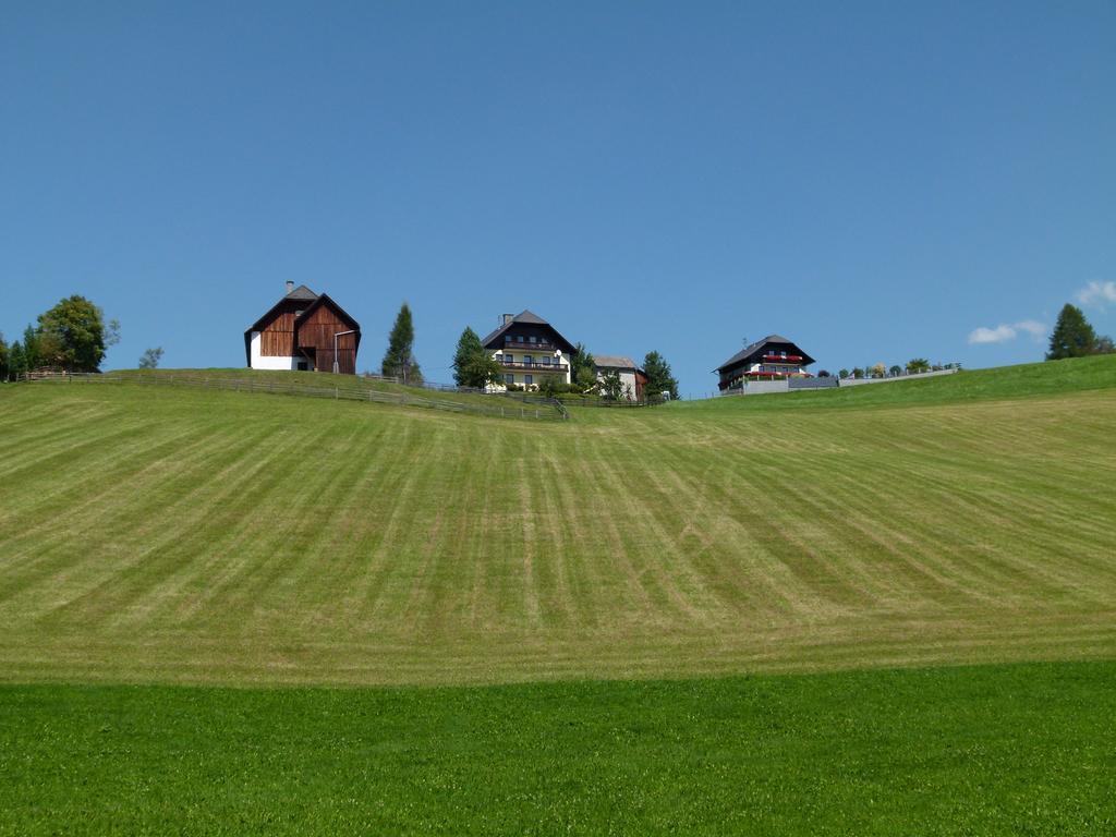 Ferienwohnungen Bachergut Mariapfarr Room photo
